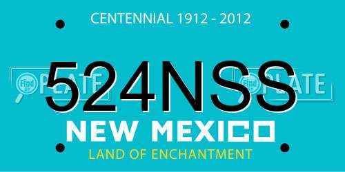 524NSS New Mexico License Plate
