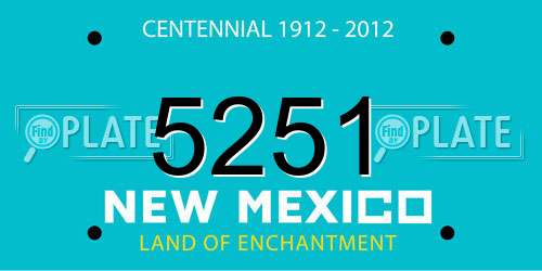 5251 New Mexico License Plate