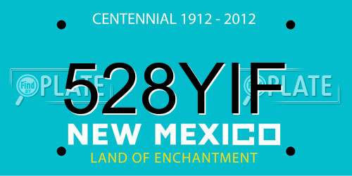 528YIF New Mexico License Plate