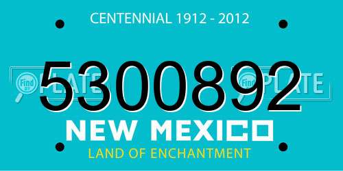 5300892 New Mexico License Plate