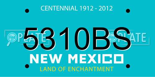 5310BS New Mexico License Plate