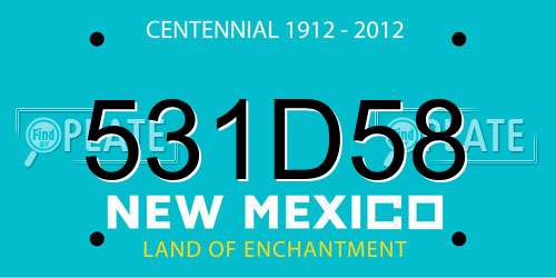 531D58 New Mexico License Plate