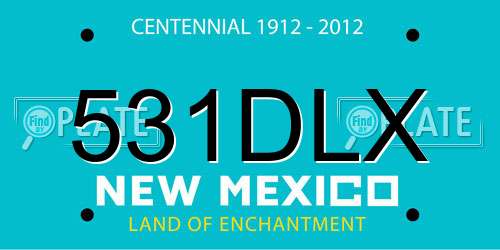 531DLX New Mexico License Plate