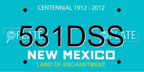 531DSS New Mexico License Plate