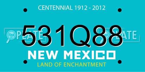 531Q88 New Mexico License Plate