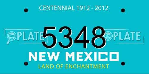 5348 New Mexico License Plate