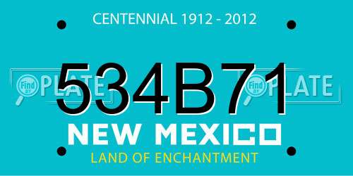 534B71 New Mexico License Plate