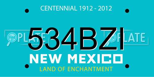 534BZI New Mexico License Plate