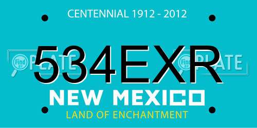 534EXR New Mexico License Plate