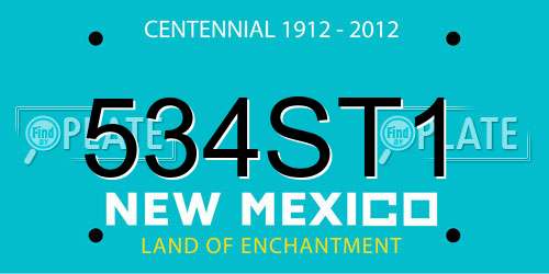 534ST1 New Mexico License Plate
