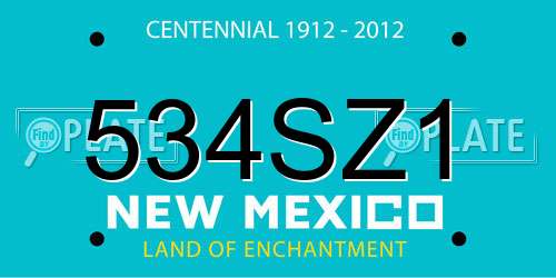 534SZ1 New Mexico License Plate