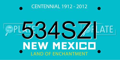 534SZI New Mexico License Plate