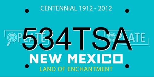 534TSA New Mexico License Plate