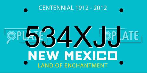 534XJJ New Mexico License Plate