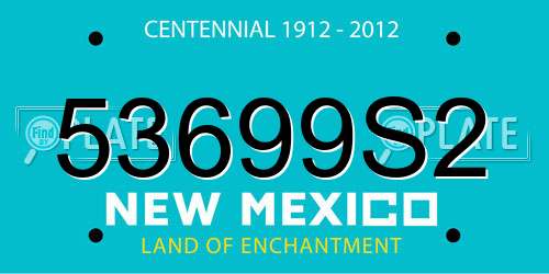 53699S2 New Mexico License Plate