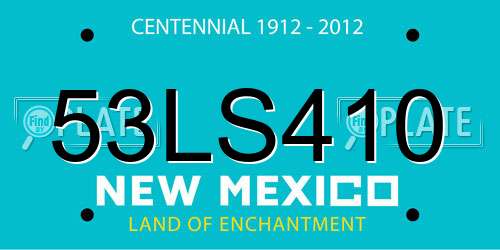 53LS410 New Mexico License Plate