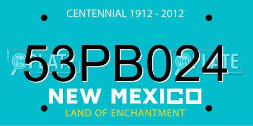 53PB024 New Mexico License Plate