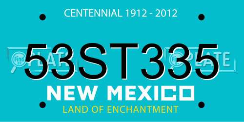 53ST335 New Mexico License Plate