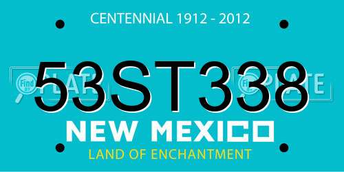 53ST338 New Mexico License Plate