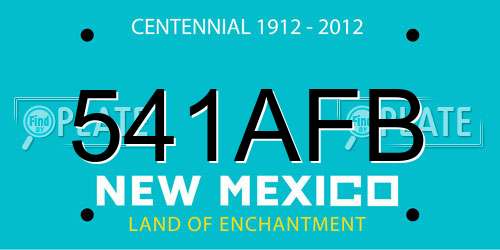 541AFB New Mexico License Plate