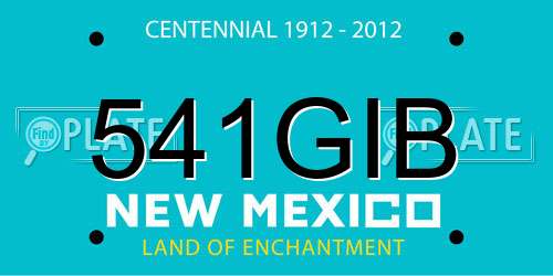 541GIB New Mexico License Plate