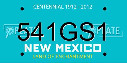 541GS1 New Mexico License Plate