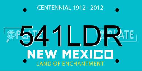 541LDR New Mexico License Plate