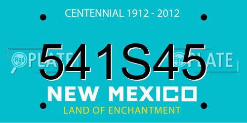 541S45 New Mexico License Plate