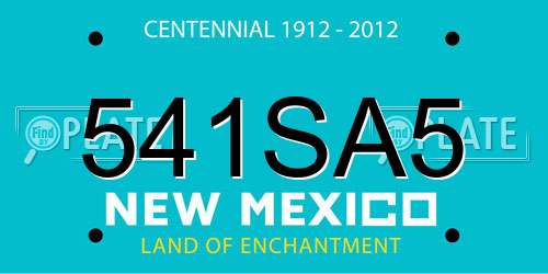 541SA5 New Mexico License Plate