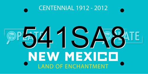 541SA8 New Mexico License Plate