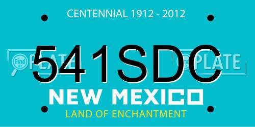 541SDC New Mexico License Plate