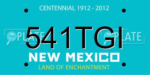 541TGI New Mexico License Plate
