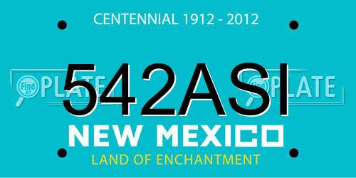 542ASI New Mexico License Plate