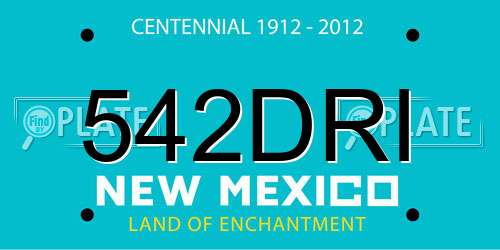 542DRI New Mexico License Plate