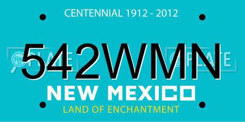 542WMN New Mexico License Plate