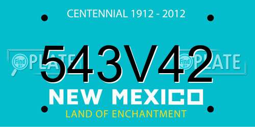 543V42 New Mexico License Plate