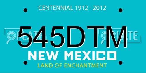 545DTM New Mexico License Plate