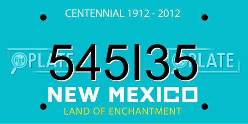 545I35 New Mexico License Plate