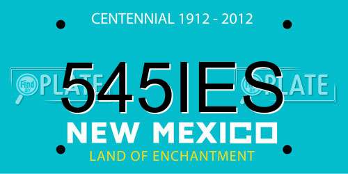 545IES New Mexico License Plate