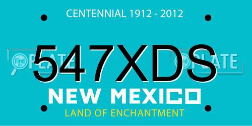 547XDS New Mexico License Plate
