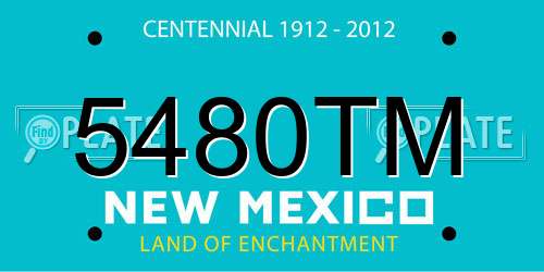 5480TM New Mexico License Plate