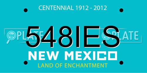548IES New Mexico License Plate