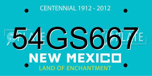 54GS667 New Mexico License Plate