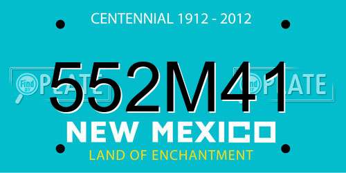 552M41 New Mexico License Plate