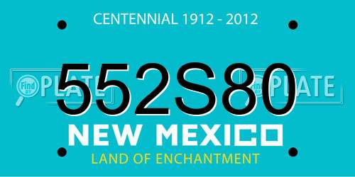 552S80 New Mexico License Plate
