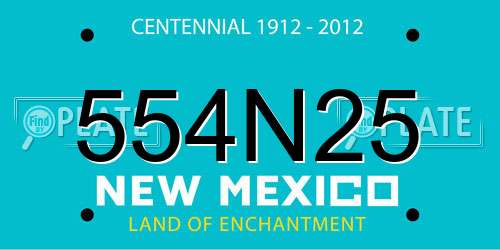 554N25 New Mexico License Plate