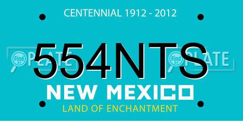 554NTS New Mexico License Plate