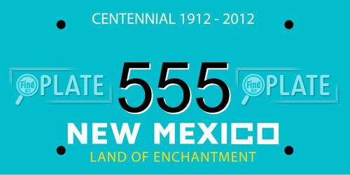 555 New Mexico License Plate