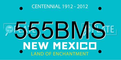555BMS New Mexico License Plate