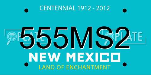 555MS2 New Mexico License Plate
